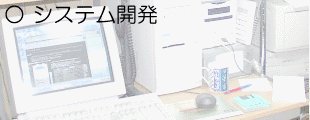 システム開発